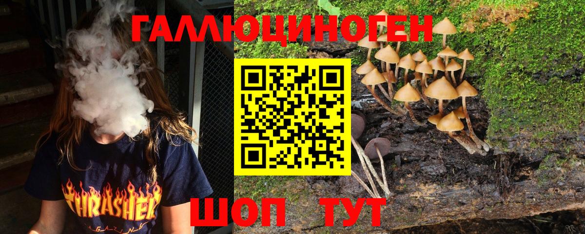 Галлюциногенные грибы мухоморы  Галлюциногенные грибы прущие грибы  Тамбов  Вход с VPN 